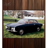 Металлическая табличка Alfa Romeo 1750 GT Veloce (105)